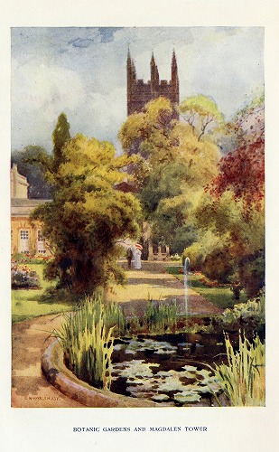イギリス　Botanic Gardens and Magdalen Towerの風景を掲載しています。